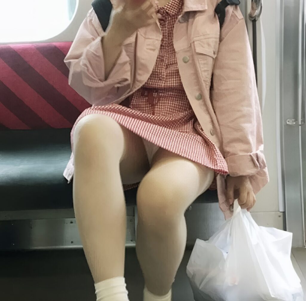 これぞ電車内対面パンチラの醍醐味じゃないですか!?一瞬ですよ!右足を一瞬上げた瞬間に見えた、見事な純白パンティですよ!美し過ぎますね!チェックのワンピースも、めっちゃ可愛いです!