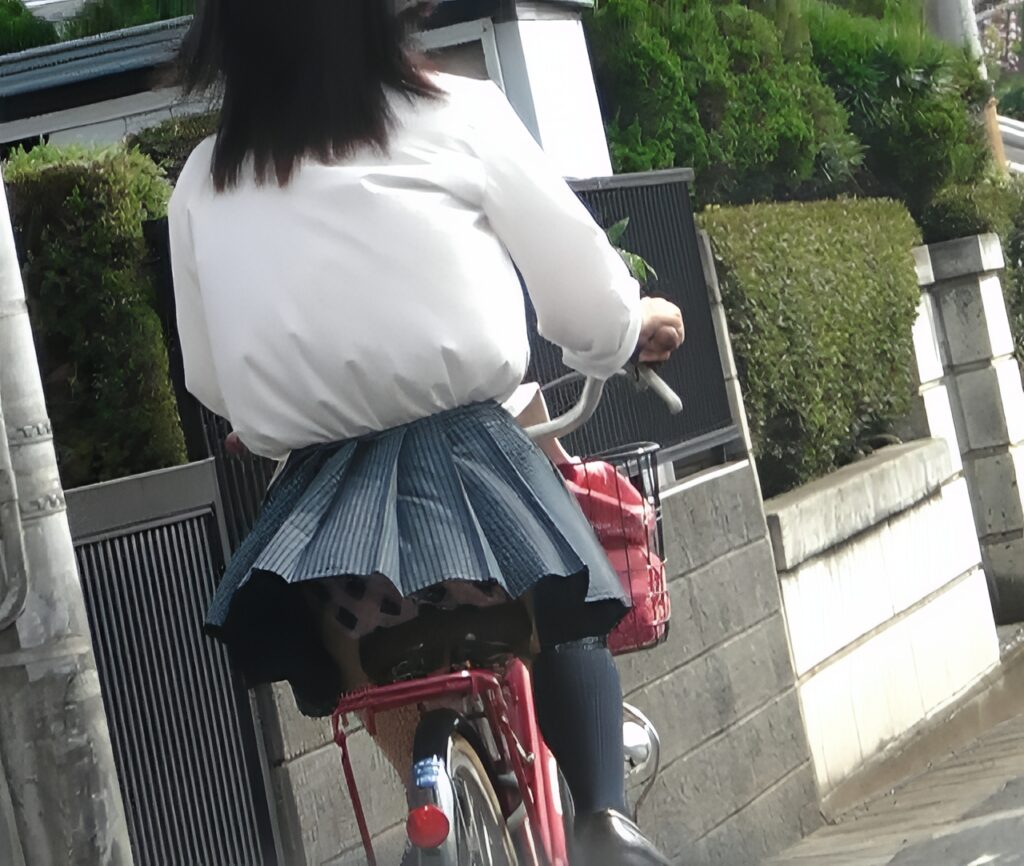 こんなに可愛い水玉ぱんつが見れてしまうなんて、自転車通学万歳ですね!多分ピンクに大きい黒の、至高の水玉だと思います!