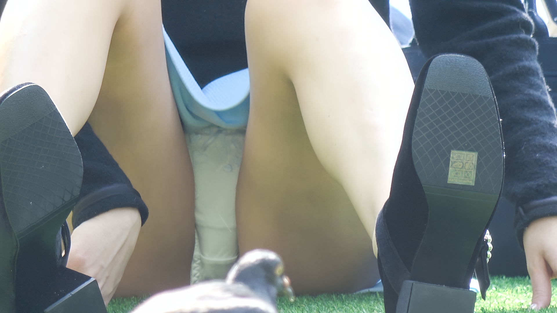 お花見真っ盛りですね。この季節はおすわりパンチラの季節として、漢たちのフェチズムを擽ってくれますね。「花より団子」とよく言われますが、漢にとっては「花よりぱんつ」ですよ！そんな春の風物詩、お花見ぱんちらを行ってみましょうか！